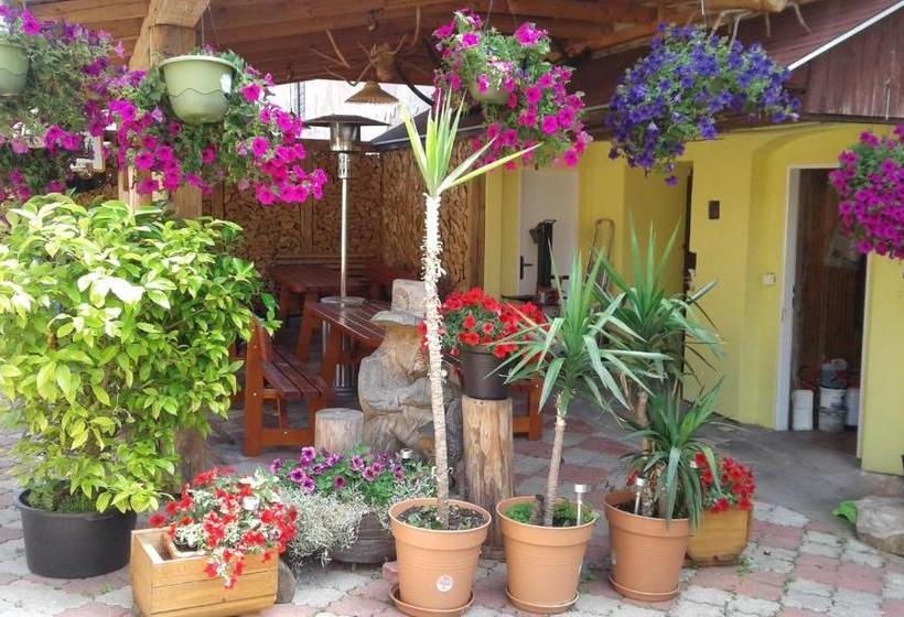 پانسیون Penzion Many Peny