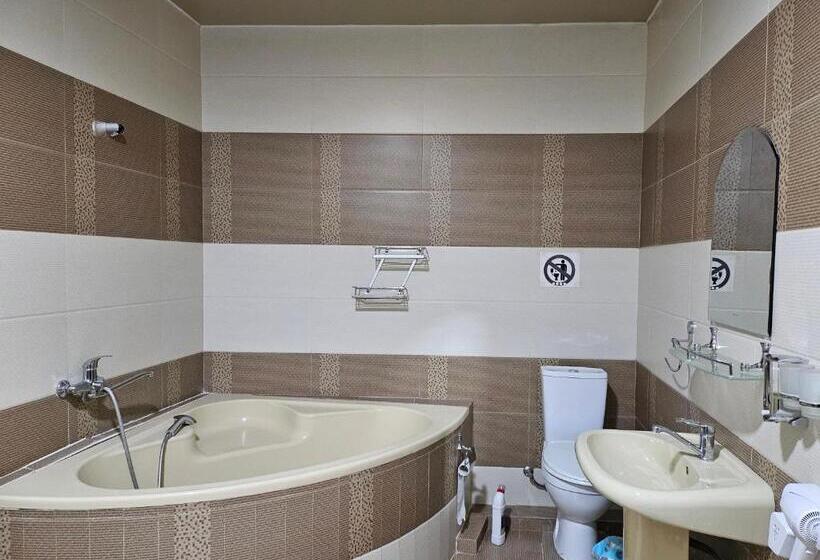 פנסיון Guest House Rohat Lux