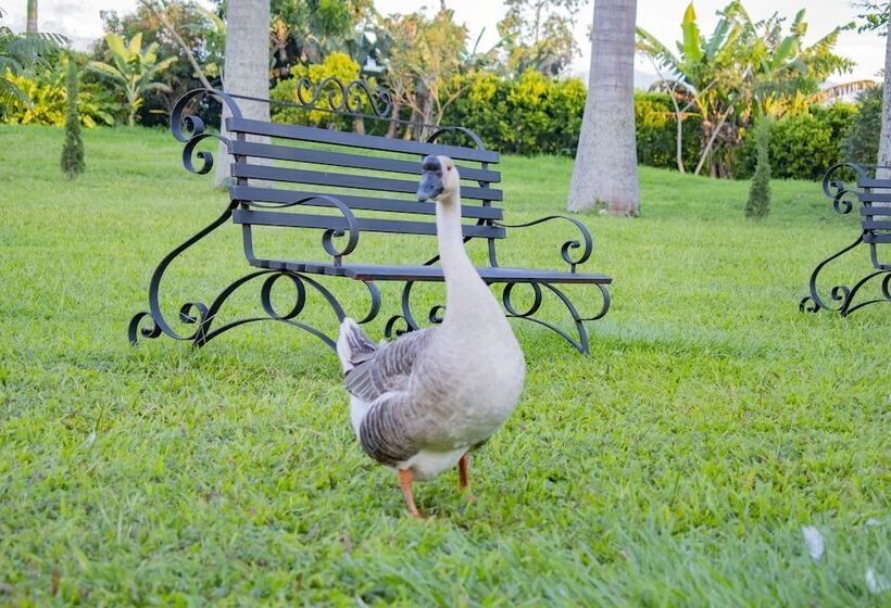 هتل Campestre Café Café