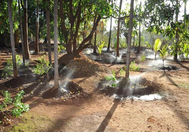 فندق Red Roof Farmhouse