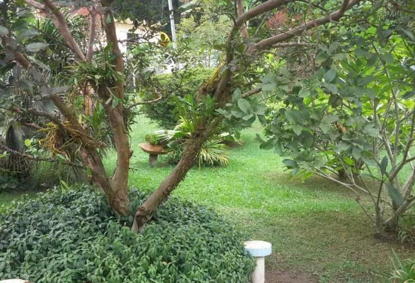 ペンション Abaete Pousada Da Estancia