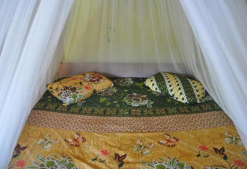 پانسیون Fun Family Guest House N Jungle Tour