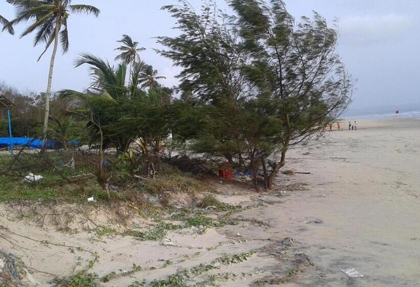 פנסיון Lobo S Guesthouse