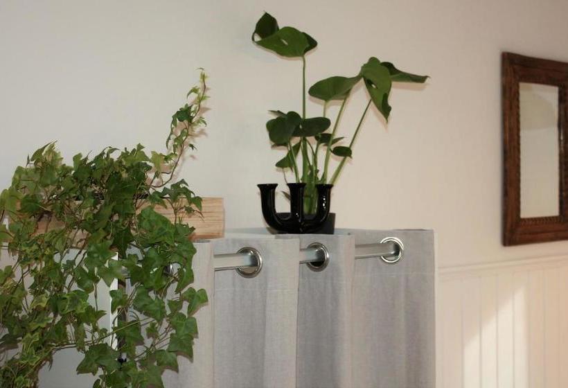 旅馆 Helmin Kortteeri