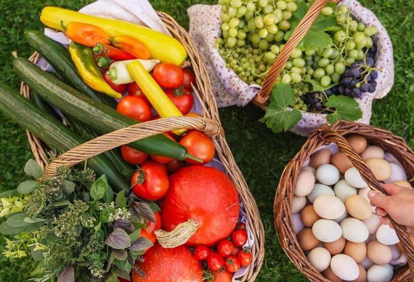 پانسیون Penzion Dvorce