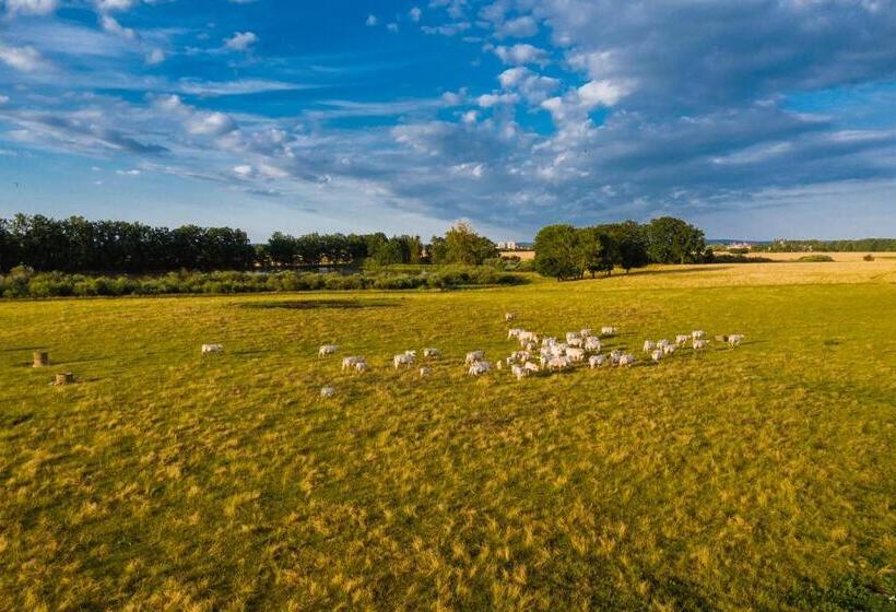 پانسیون Penzion Dvorce