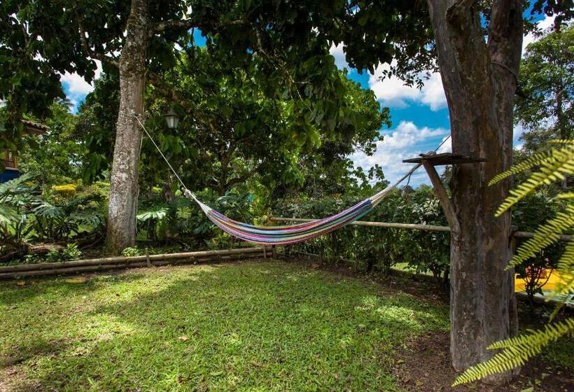 پانسیون El Laurel Finca Agroturistica