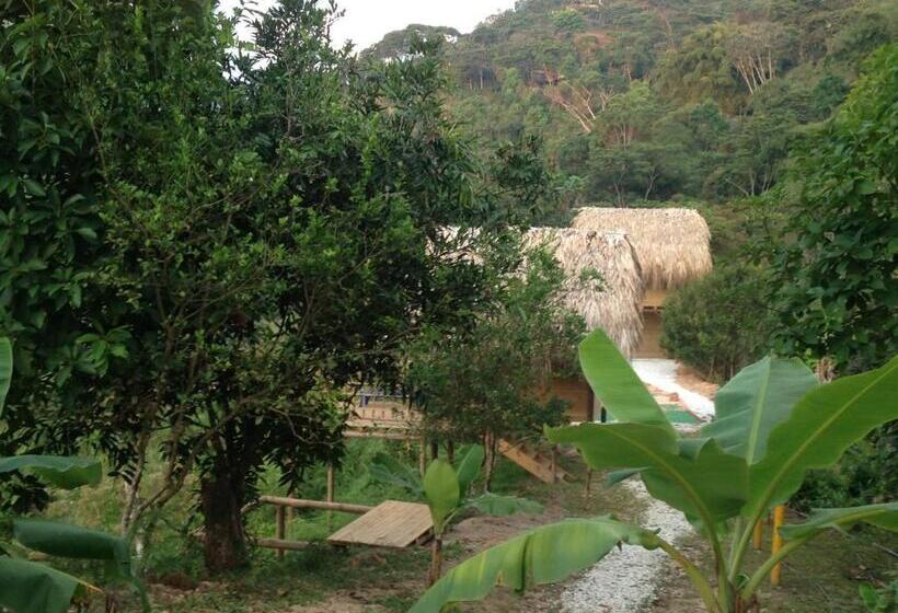 هتل Miradores Del Oso Perezoso