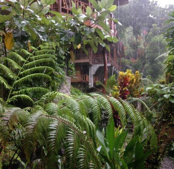 پانسیون Kupu Kupu Garden Guest House & Cafe