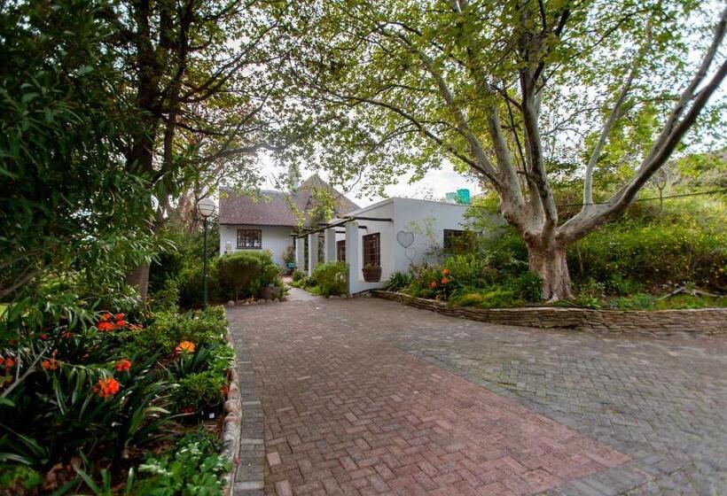 بنسيون Summerhill Guest Farm