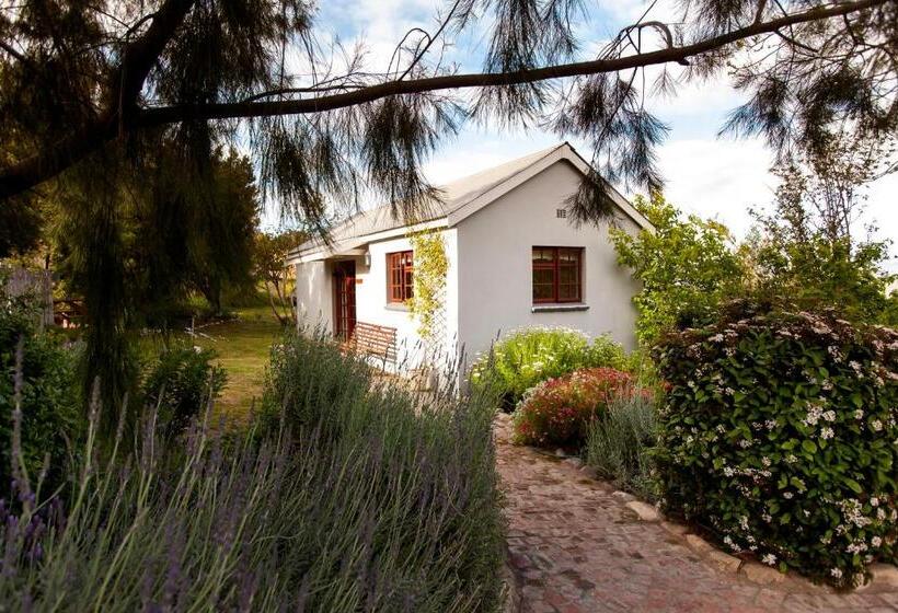 بنسيون Summerhill Guest Farm