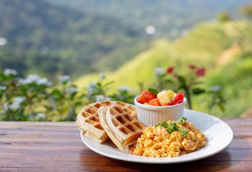 هاستل Mundo Nuevo Eco Lodge