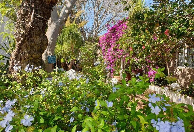 פנסיון Guest House Frame Ace