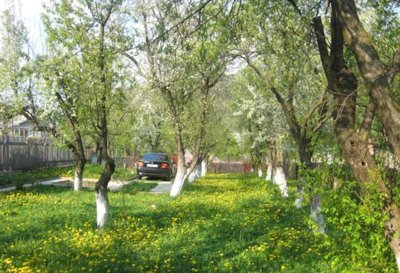 بنسيون Casa Sabina