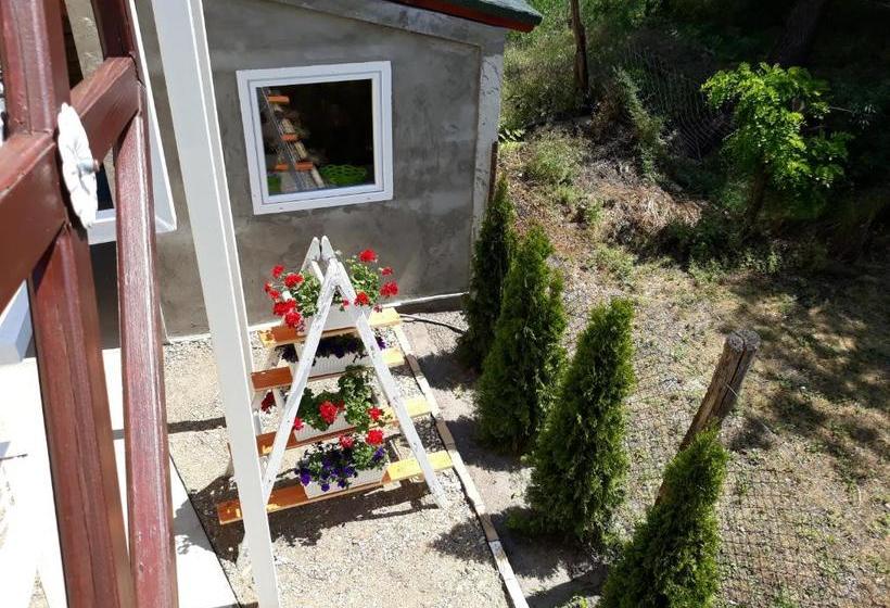 پانسیون Apartman I Sobe Nikolas