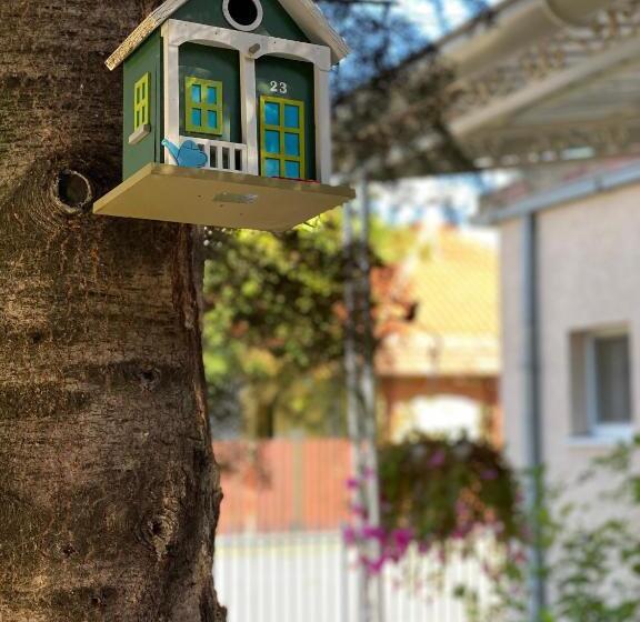 پانسیون Maslina Rooms