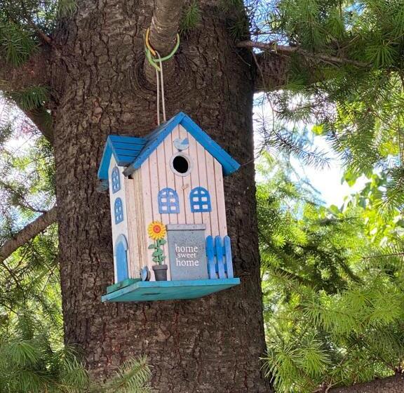 پانسیون Maslina Rooms