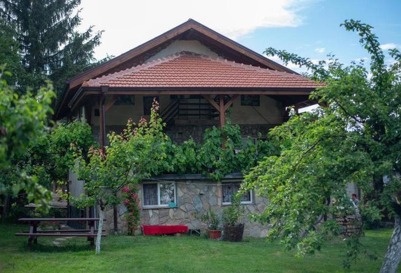 پانسیون Danailovi Guest House