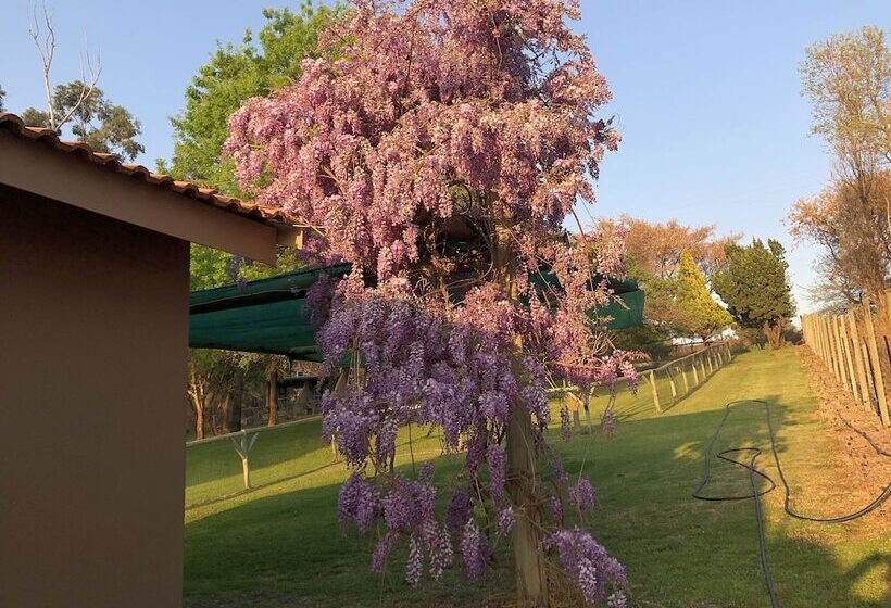 بنسيون Hills And Dales Accommodation