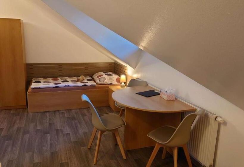 پانسیون Penzion Tcv Pardubice