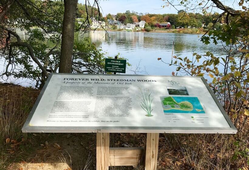 הוסטל Morning Glory Inn