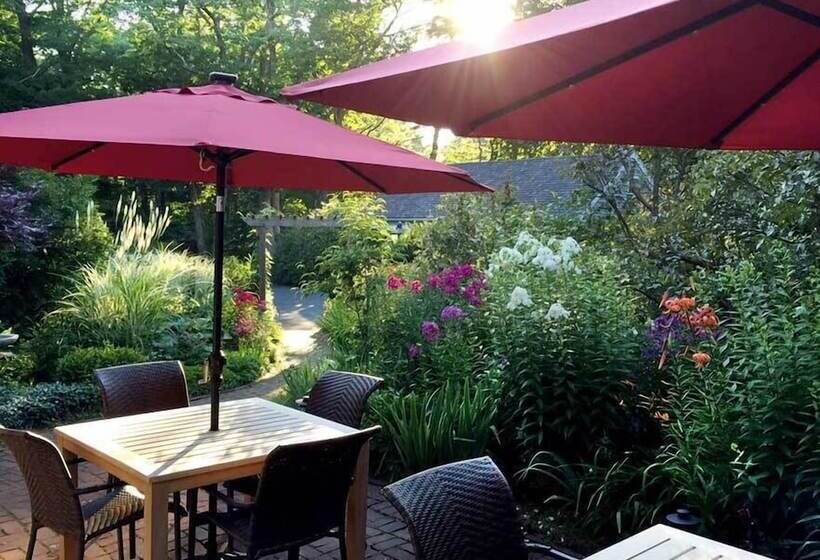 הוסטל Morning Glory Inn