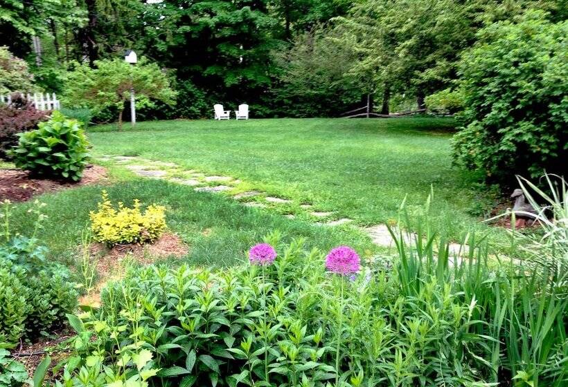 הוסטל Morning Glory Inn