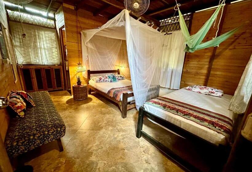 پانسیون Bella Flor Hostel Palomino