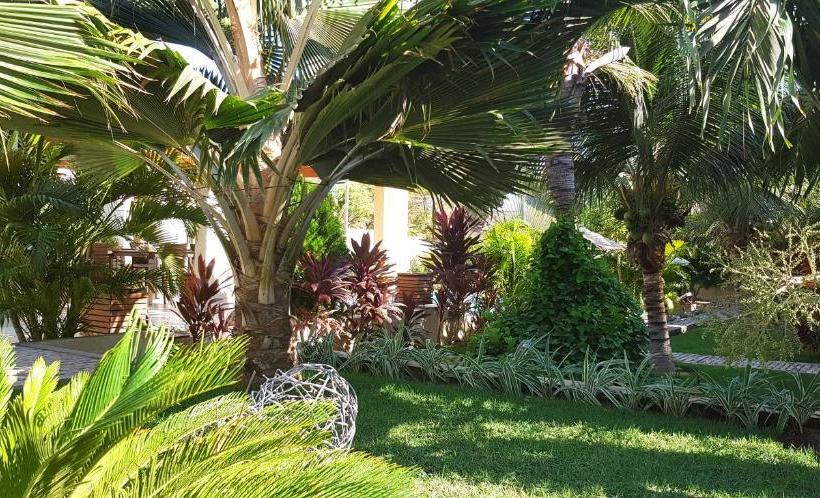Ravenala Hotel Boutique