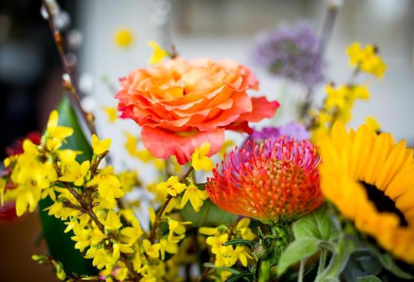 هاستل Logement Aan De Vecht