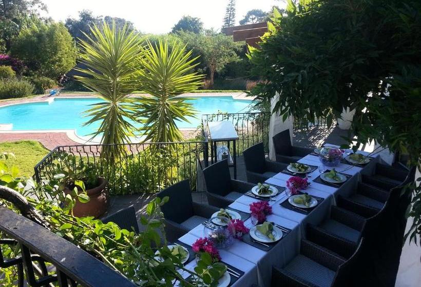 膳宿费 Montrose Guesthouse