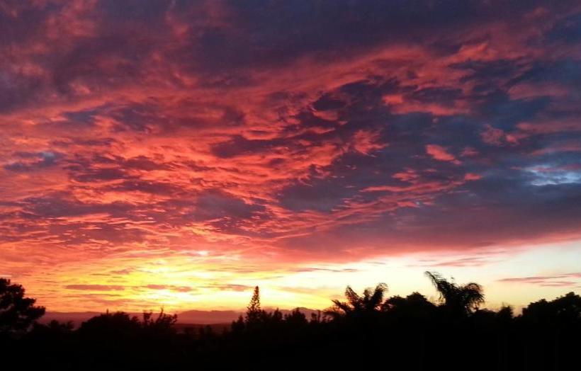 膳宿费 Montrose Guesthouse