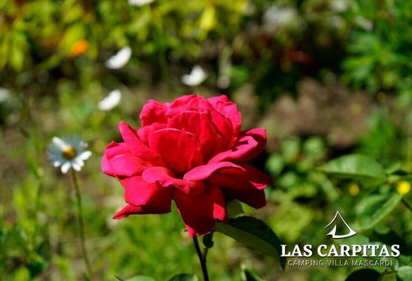 ベッドアンドブレックファースト Las Carpitas