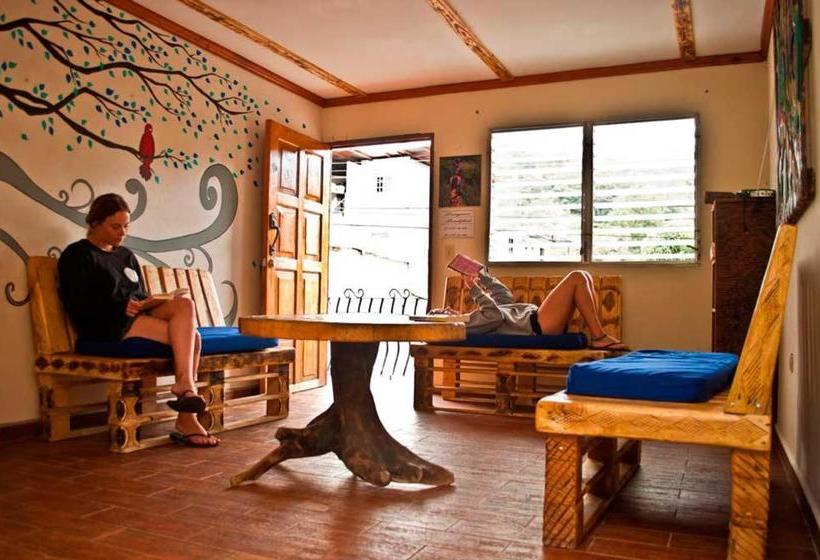 بنسيون Arte Hostal