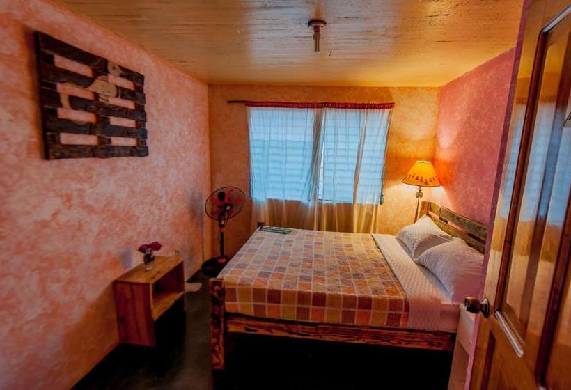 بنسيون Arte Hostal