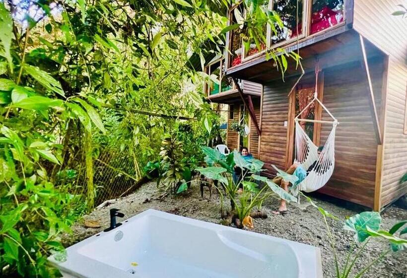 پانسیون Guest House Pura Vida