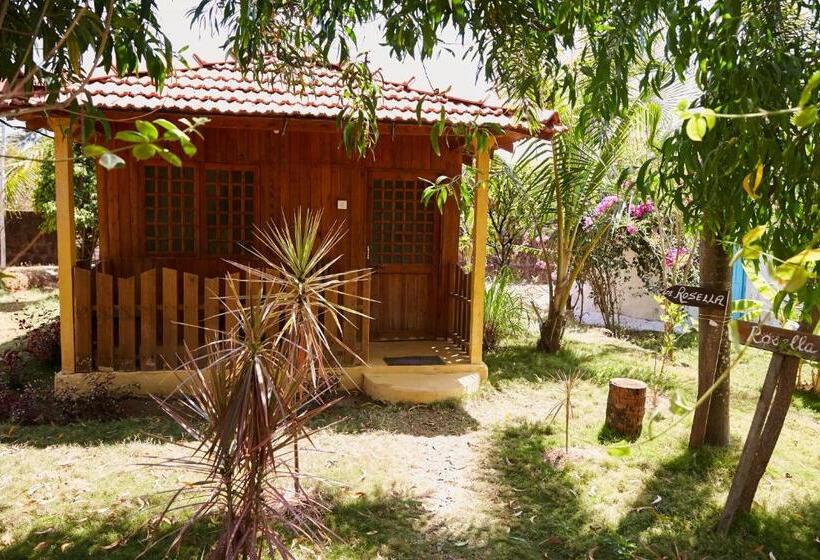 فندق صغير Jamboree Creek Yoga