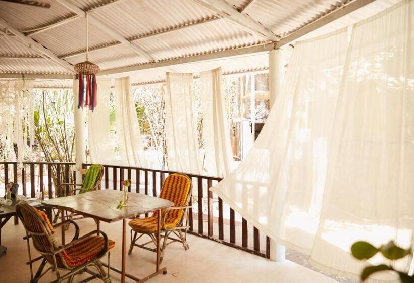 فندق صغير Jamboree Creek Yoga