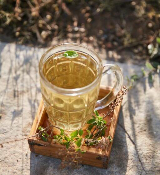 فندق صغير Jamboree Creek Yoga