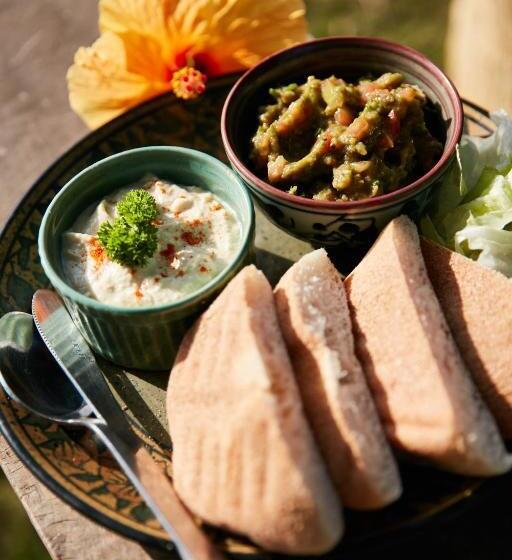 فندق صغير Jamboree Creek Yoga