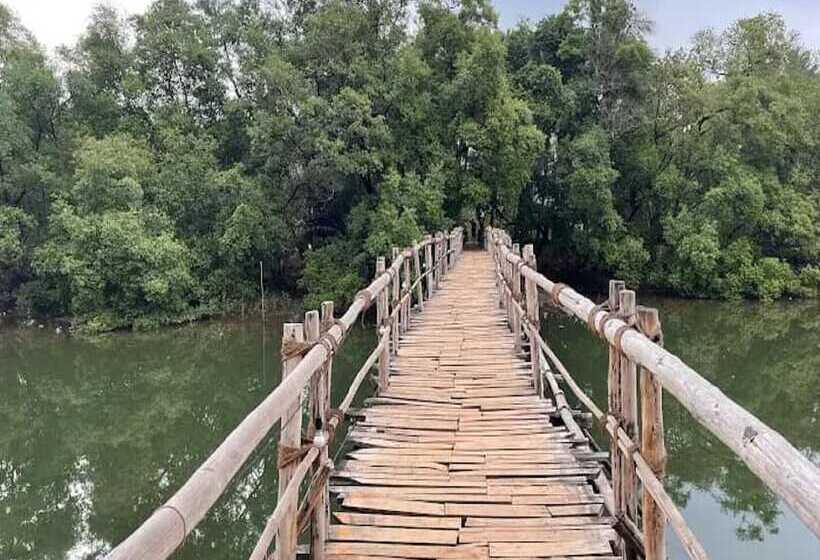 فندق صغير Jamboree Creek Yoga