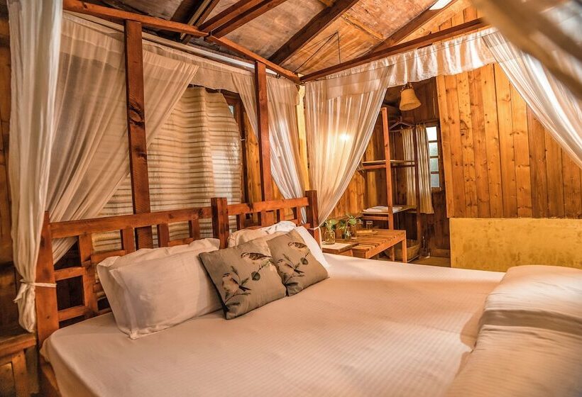 فندق صغير Jamboree Creek Yoga