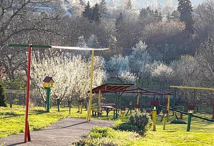 پانسیون Kucerak Kod Bobe Vrdnik