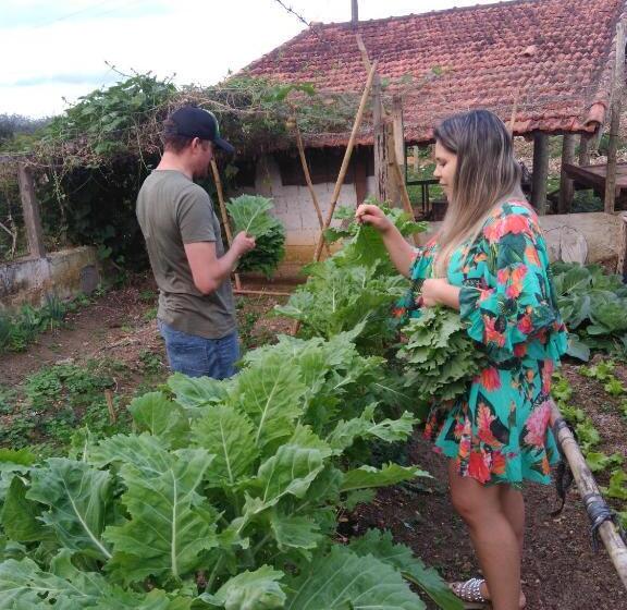 ペンション Pousada Rural Ouro Verde