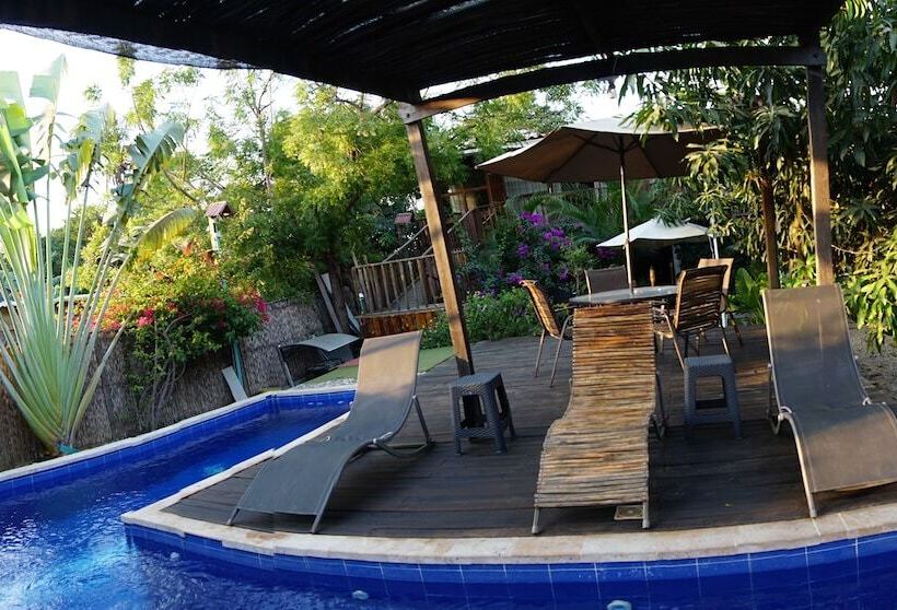 پانسیون Tribe