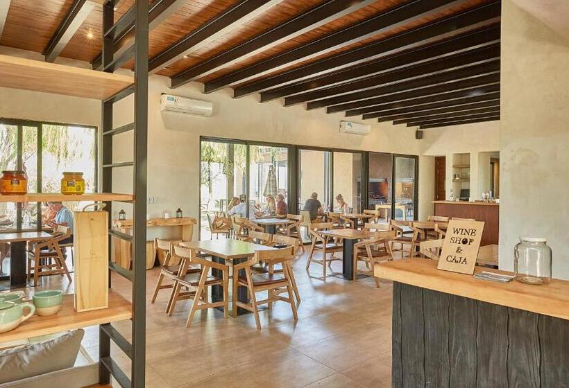 بنسيون Casa De Huéspedes Bodega Gimenez Riili