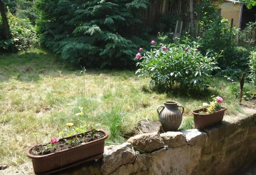 پانسیون Guest House Zora