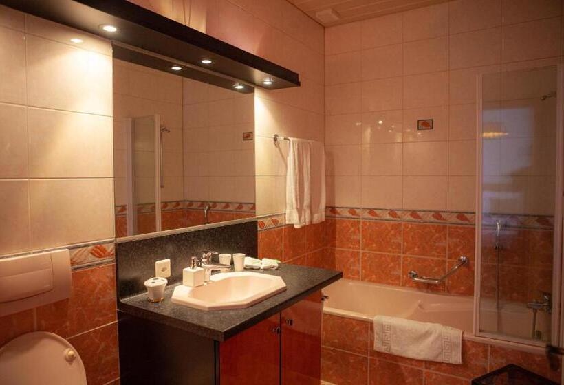 بنسيون Hôtel De L Ours