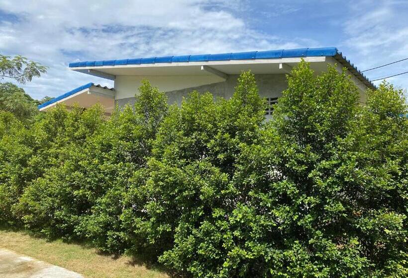 پانسیون Pd Guesthouse