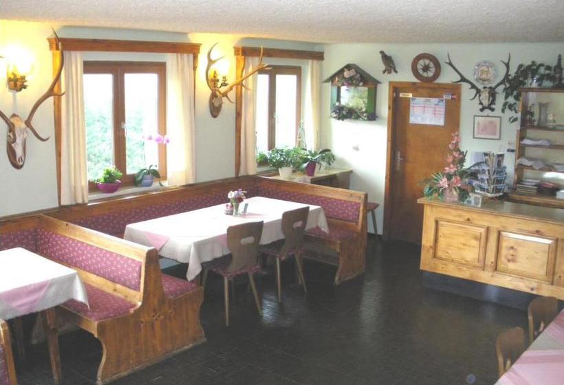 هاستل Alpengasthof Draxler